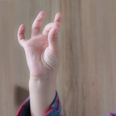 Language Signe Entre Bebe Et Ses Parents
