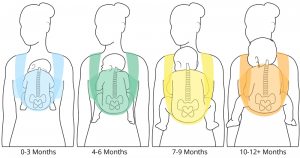 babywearing_first_year_1-300x158