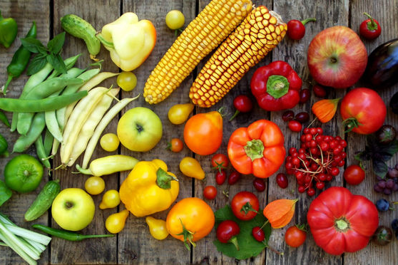 La nutrithérapie au service de votre santé