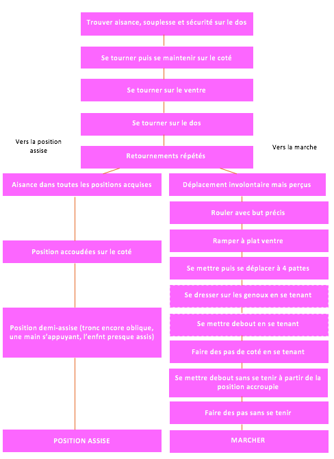 Les deux branches de la motricité