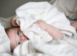 Le cododo, sommeil partagé