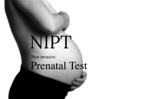 Nipt-test Hapts Le Nipt-Test, test prénatal