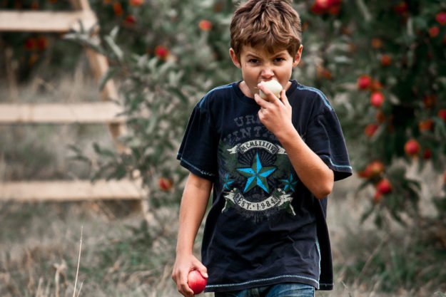 nutribulle au centre Haptis à Perwez