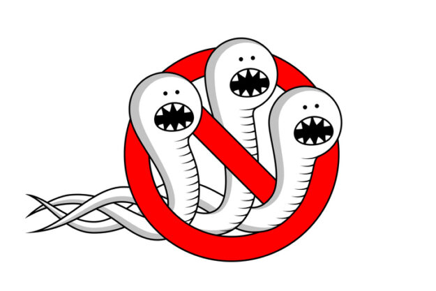 Helminths and red prohibitory sign, anthelmintic treatment concept